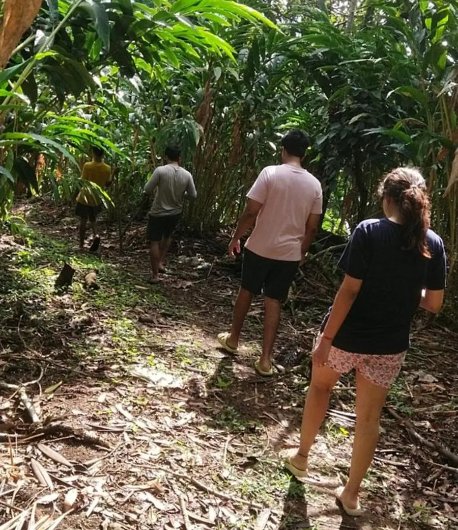Cassa Cottage Munnar Kallar Vattiyar بيت للعطل